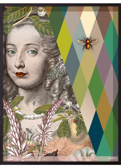 Vanilla Fly Lady bee billede 30x40